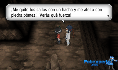 Gua Pokmon XY