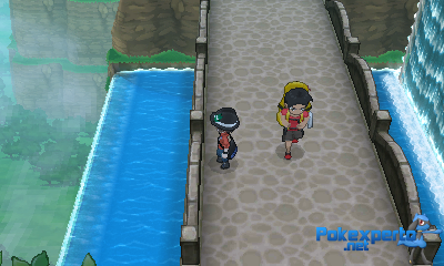 Gua Pokmon XY