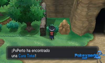 Gua Pokmon XY