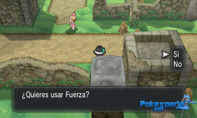 Gua Pokmon XY