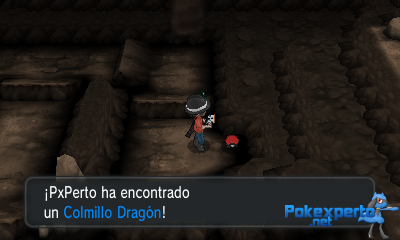 Gua Pokmon XY