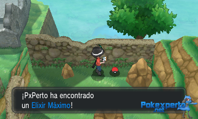 Gua Pokmon XY