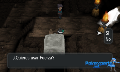Gua Pokmon XY