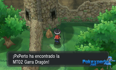 Gua Pokmon XY