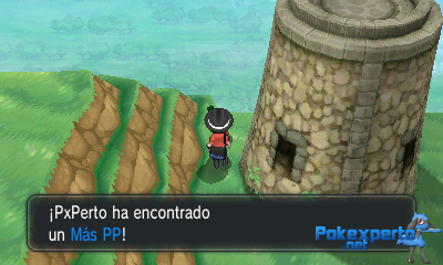 Gua Pokmon XY