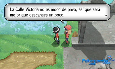Gua Pokmon XY