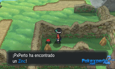 Gua Pokmon XY