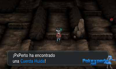 Gua Pokmon XY