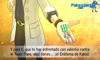 Gua Pokmon XY