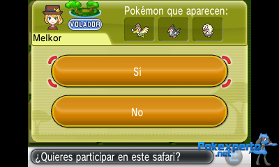 Gua Pokmon XY