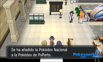 Gua Pokmon XY