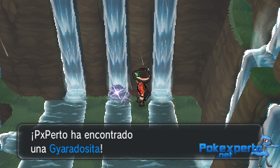 Gua Pokmon XY