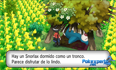 Gua Pokmon XY