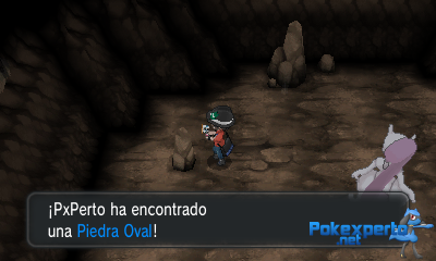 Gua Pokmon XY