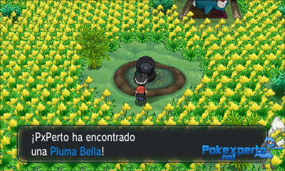 Gua Pokmon XY