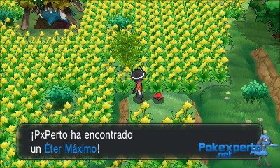 Gua Pokmon XY