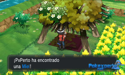 Gua Pokmon XY