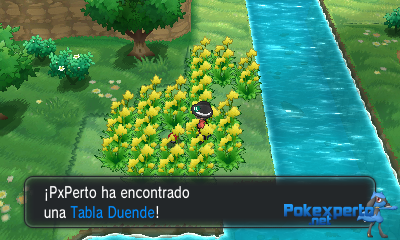 Gua Pokmon XY