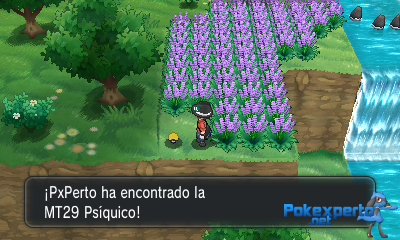Gua Pokmon XY