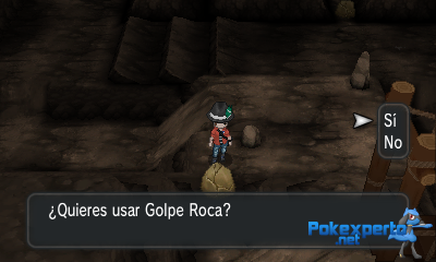 Gua Pokmon XY