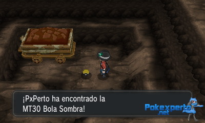 Gua Pokmon XY