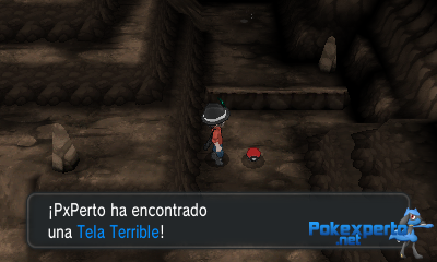 Gua Pokmon XY