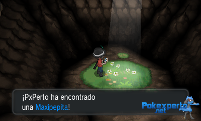 Gua Pokmon XY
