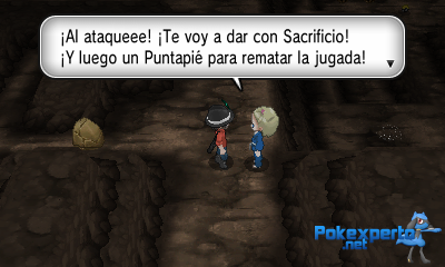 Gua Pokmon XY