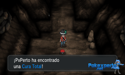 Gua Pokmon XY