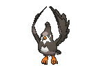 Sprite Staravia XY