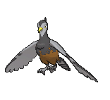 Sprite Unfezant XY