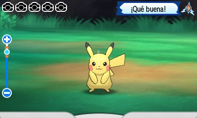 Pokvisor