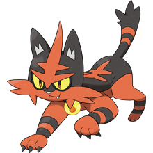 Torracat