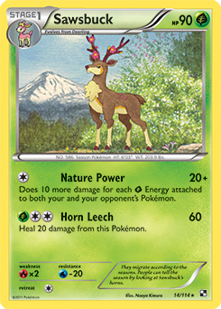 Carta de Sawsbuck