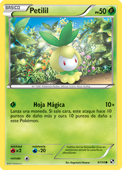 Carta de Petilil