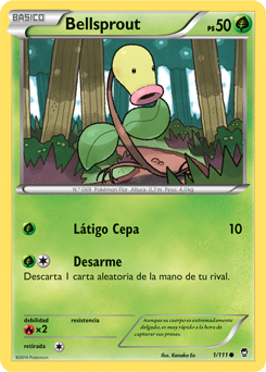 Carta