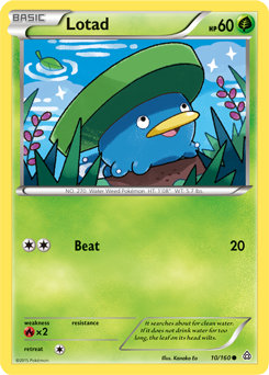 Carta de Lotad