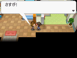 Gua Pokmon B2W2