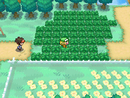 Gua Pokmon B2W2