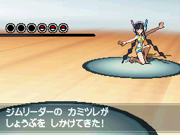 Gua Pokmon B2W2