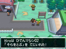 Gua Pokmon B2W2