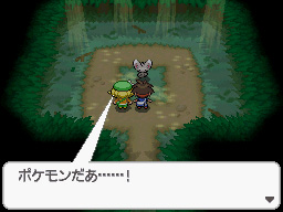 Gua Pokmon B2W2