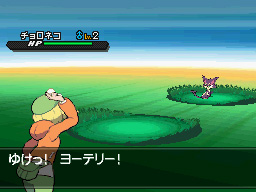 Gua Pokmon B2W2