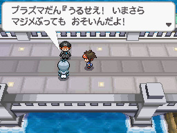 Gua Pokmon B2W2