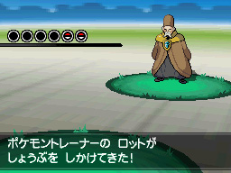 Gua Pokmon B2W2