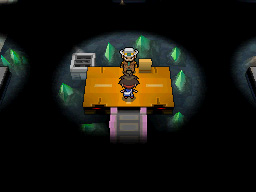 Gua Pokmon B2W2