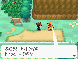 Gua Pokmon B2W2