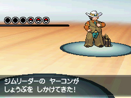 Gua Pokmon B2W2