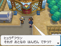 Gua Pokmon B2W2