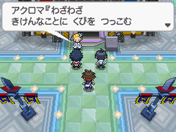 Gua Pokmon B2W2